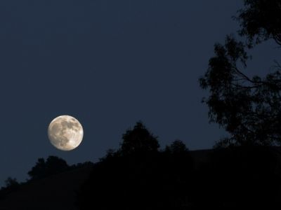 H Ελλάδα στα νύχια των εκβιαστών