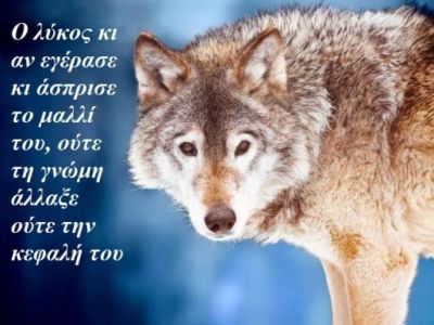 Η αστρολογική συμβουλή της ημέρας 14/1
