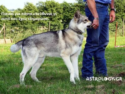 Η αστρολογική συμβουλή της ημέρας 2/7