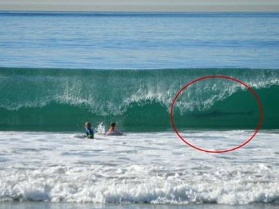 Απίστευτη φωτογραφία: Την ώρα που ήταν στη θάλασσα είδαν έναν...