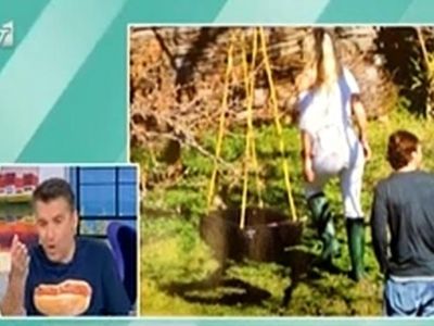 Ζώδια και αστέρια: Οργή Λιάγκα: «Δεν ήταν παντρεμένη η Μενεγάκη; Δεν ξέρουμε τι έχει γίνει;»