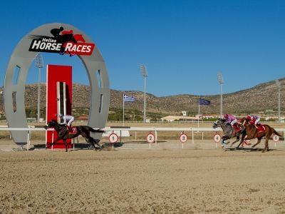 Αντίστροφη μέτρηση για τη δημοπρασία 23 καθαρόμαιων ίππων στο Μαρκόπουλο