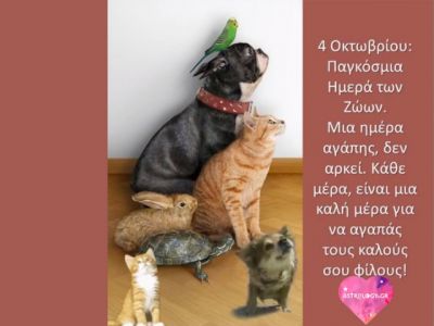 Παγκόσμια Ημέρα των Ζώων: Τους καλούς φίλους, τους αγαπάς κάθε μέρα!