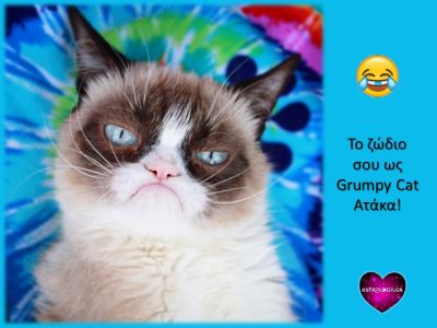 Η ατάκα της grumpy cat που εκφράζει το δικό σου ζώδιο