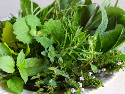 7 βότανα για να «καθαρίσετε» τα νεφρά σας (video)