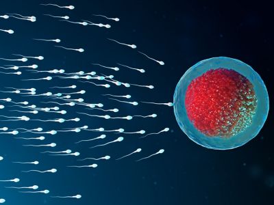 Τα 5 βήματα για υγιές σπέρμα (εικόνες)