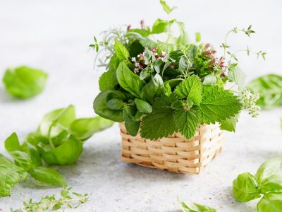 Βότανα και μυρωδικά που διευκολύνουν την απώλεια βάρους (video)