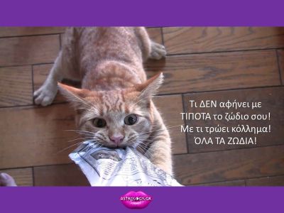 Να τι λατρεύεις να κάνεις με βάση το ζώδιό σου