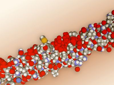 Κερατίνη: Γιατί είναι απαραίτητη & σε ποιες τροφές θα τη βρείτε (εικόνες)