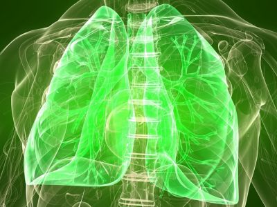 Πνεύμονες: Οι τροφές που συμβάλλουν στην ομαλή λειτουργία τους (εικόνες)
