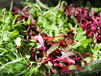 Φυλλώδη λαχανικά: Είδη και διατροφική αξία (εικόνες)