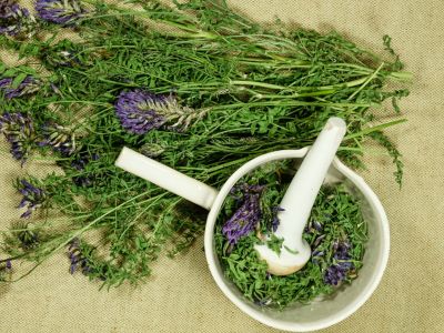 Κορονοϊός: Ποια είναι τα καλύτερα αντι-ιικά βότανα (εικόνες)