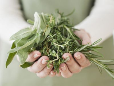 5 βότανα που συμβάλλουν στην καταπολέμηση του στρες (εικόνες)