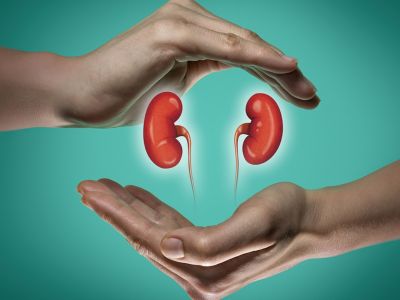 Ποιες τροφές επιβαρύνουν τη λειτουργία των νεφρών (εικόνες)