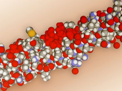 Κερατίνη: Πού θα βρείτε την απαραίτητη πρωτεΐνη για μαλλιά, νύχια και δέρμα (εικόνες)