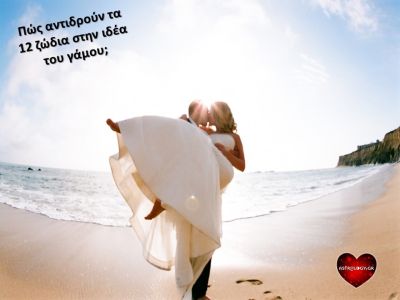 Ποια ζώδια φοράνε με άνεση την κουλούρα και ποια… στρίβουν διά του αρραβώνος;