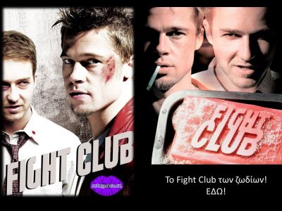 Το Fight Club των ζωδίων!
