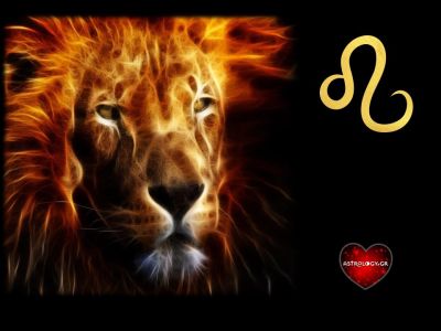 Οι 3 τύποι Λιονταριού: Σίγουρα έχεις συναντήσει έναν από όλους!