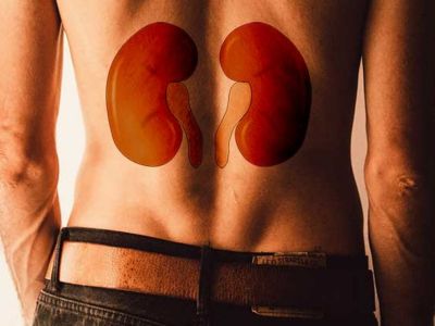 Οι τροφές που απειλούν την υγεία των νεφρών σας (εικόνες)