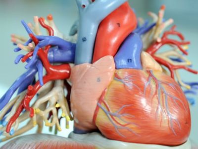 Με ποιες τροφές θα «ξεβουλώσετε» τις αρτηρίες σας (εικόνες)