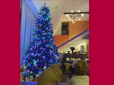 Μας έδειξε το σαλόνι της και η Χριστουγεννιάτικη διακόσμηση είναι το κάτι άλλο