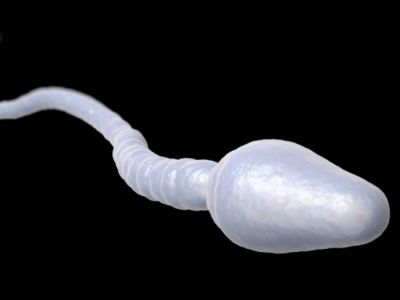 Η ουσία που ενισχύει την ανδρική γονιμότητα – Πού θα τη βρείτε