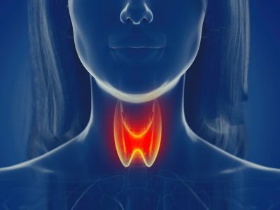 Θυρεοειδίτιδα Χασιμότο: Ποια διατροφικά σχήματα βοηθούν στη διαχείριση των συμπτωμάτων (εικόνες)