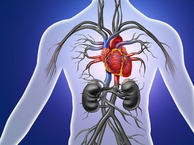 Κολπική μαρμαρυγή: Οι τιμές της αρτηριακής πίεσης που αυξάνουν τον κίνδυνο