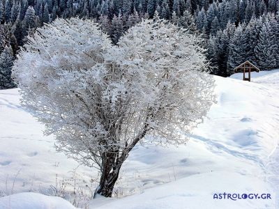 Προβλέψεις για τα αισθηματικά του ζωδίου σου, σήμερα 21/02