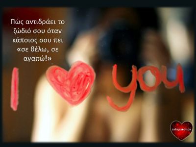 Τι θα σου απαντήσει το κάθε ζώδιο αν του πεις «σε θέλω»