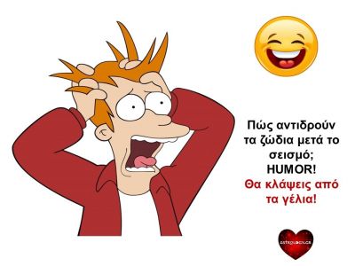 Πώς αντιδρούν τα ζώδια αφού έχει γίνει σεισμός;