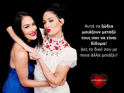 Με ποια άλλα ζώδια μοιάζει αρκετά το δικό σου;