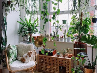 Nature inside: Αυτό είναι το Νο1 deco trend του 2021 που ήρθε για να μείνει