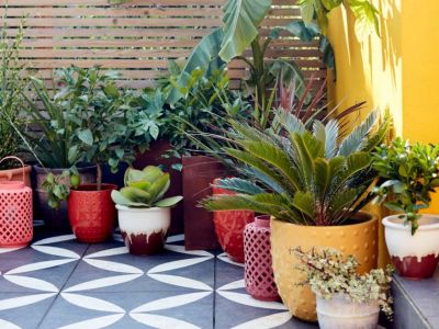 20+1 ιδέες για να δεις με «άλλο μάτι» την κηπουρική αλλά και τα φυτά στο μπαλκόνι σου (video)