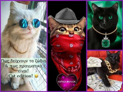 Πώς δείχνεις στους άλλους και πώς είσαι στην πραγματικότητα με βάση το ζώδιό σου