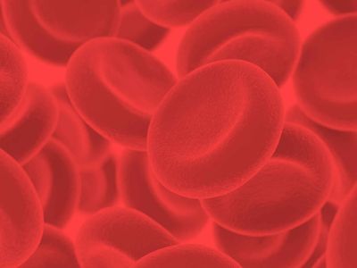 Τροφές που απομακρύνουν τις τοξίνες από το αίμα (εικόνες)