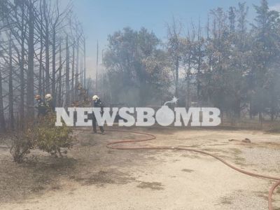 Φωτιά στη Νέα Κηφισιά: Λαχτάρησαν οι κάτοικοι της περιοχής – Κάηκαν δύο αυτοκίνητα