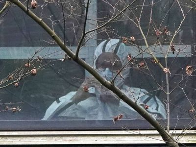 «Βόμβα» από ΠΟΥ: Επικίνδυνα και ανεξέλεγκτα πειράματα με κορονοϊούς στη Γουχάν