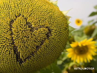 Προβλέψεις για τα αισθηματικά του ζωδίου σου, σήμερα 15/07