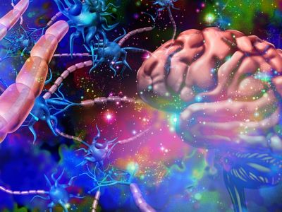 Σκλήρυνση κατά πλάκας: Οι τροφές που αυξάνουν τον κίνδυνο (εικόνες)