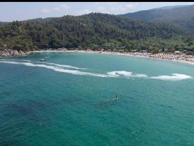 Χαλκιδική: Μετά τις μέδουσες, το φαινόμενο του ευτροφισμού απειλεί τώρα τις παραλίες (pics)