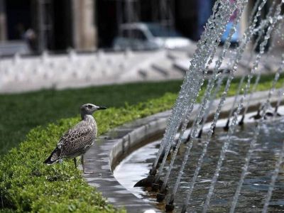 Αρνιακός στο Newsbomb.gr: Θα «βράσει» η χώρα - Πού θα χτυπήσουν 45άρια - Τι να προσέξουν οι πολίτες