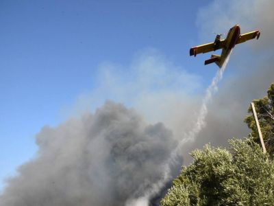 Φωτιά στην Αχαΐα: Ολονύχτια μάχη με τις φλόγες - Κάηκαν σπίτια, 16 άτομα τραυματίστηκαν