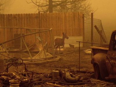 ΗΠΑ: Σαββατοκύριακο τρόμου στις δυτικές πολιτείες λόγω των ανεξέλεγκτων πυρκαγιών