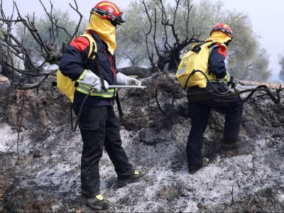 Πυρκαγιές στην Ελλάδα 1980 – 2020: Τα τελευταία 41 χρόνια έχει καεί το 14% της Ελλάδας