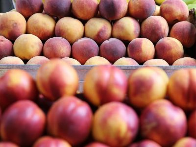 Επιχείρηση Κλοιός»: Φοροδιαφυγή 625 τόνων από κύκλωμα στο εμπόριο ροδάκινων