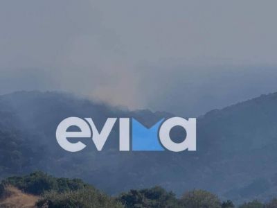 Φωτιά ΤΩΡΑ στις Πετριές Εύβοιας – Συναγερμός στην πυροσβεστική