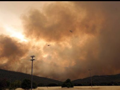 Ηλιόπουλος για καμένες εκτάσεις: Αύξηση 450% σε σχέση με τον μέσο όρο της περιόδου 2008-2020