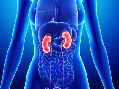 5 παθήσεις που απειλούν τα νεφρά (εικόνες)