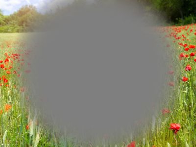 Εκφύλιση ωχράς κηλίδας: Οι παράγοντες κινδύνου πλην της ηλικίας (εικόνες)